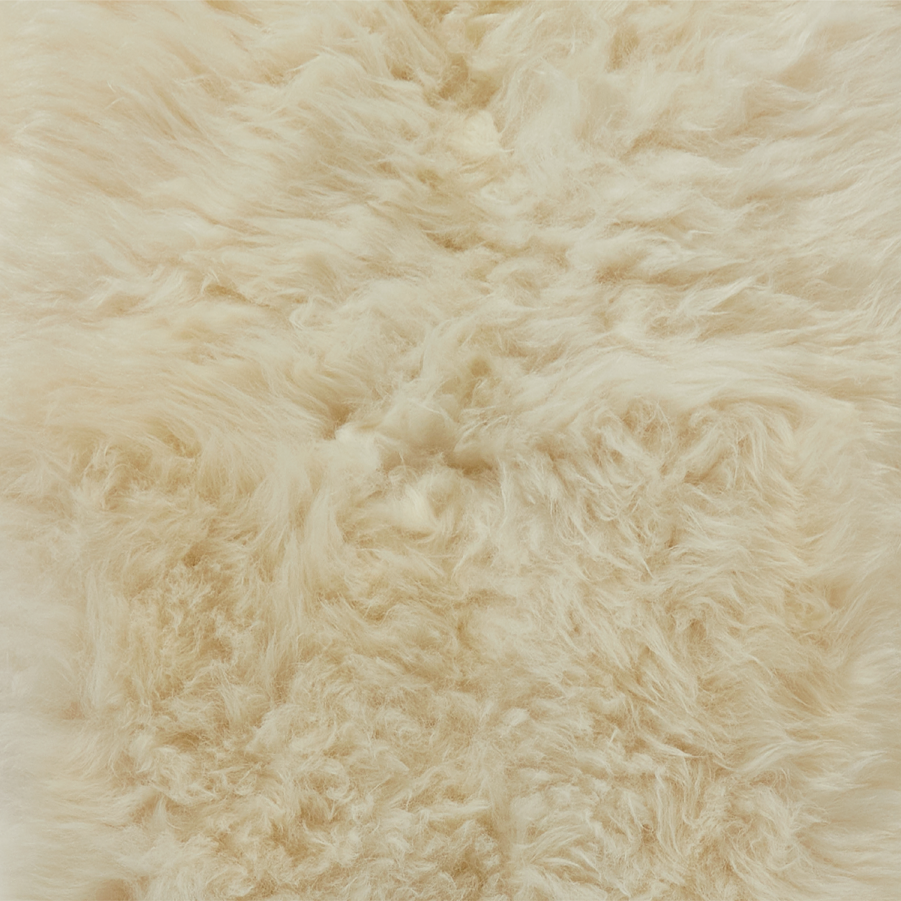 Ivory White British Sheepskin Rug